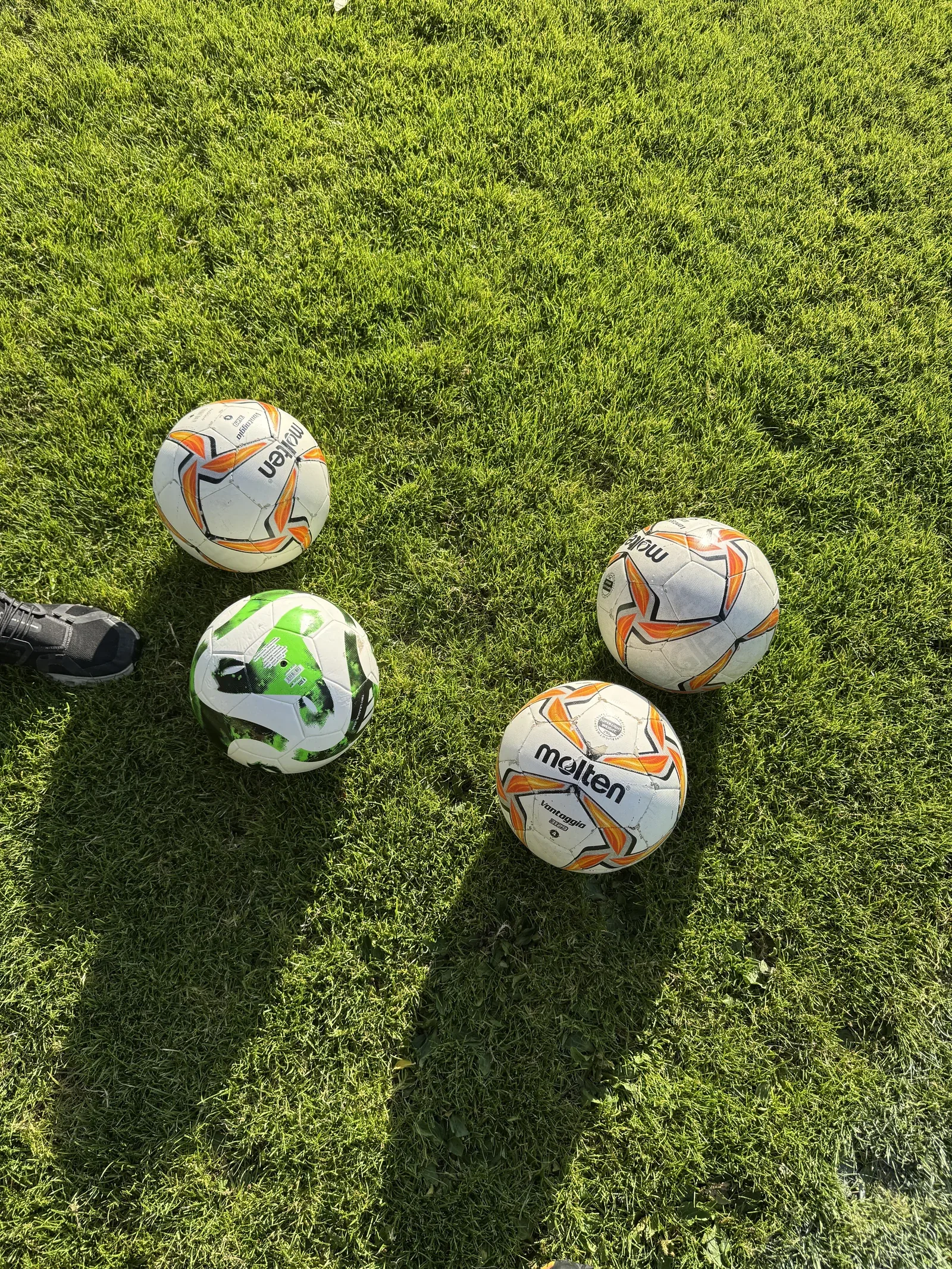 Vier Fußbälle im Halbkreis auf gemähtem Rasen: drei weiß-orange Molten Vantaggio mit dem Aufdruck Superlight 290 Gramm und ein grün-weiß-schwarzer adidas Tiro League Junior